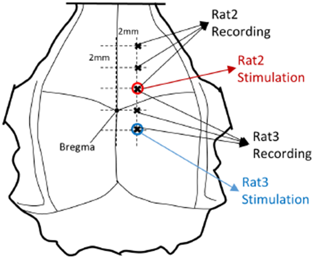 Figure 2.