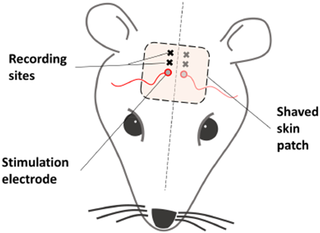 Figure 1.