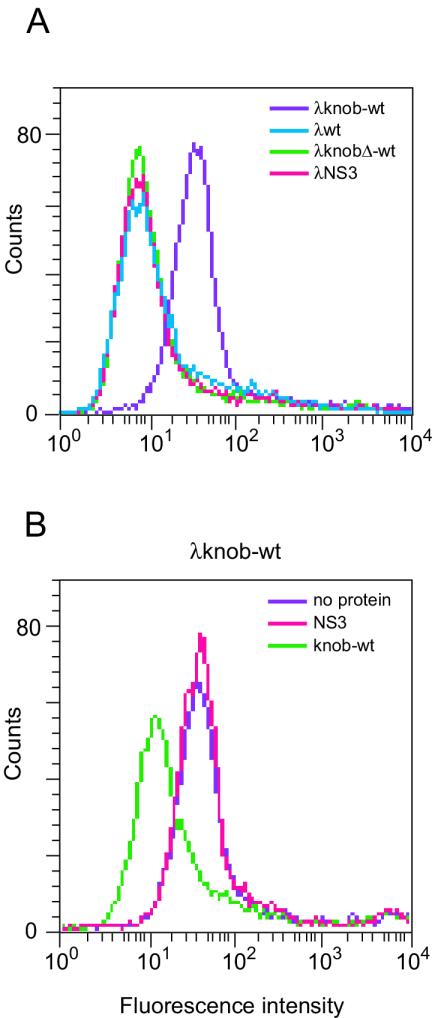 FIG. 3.