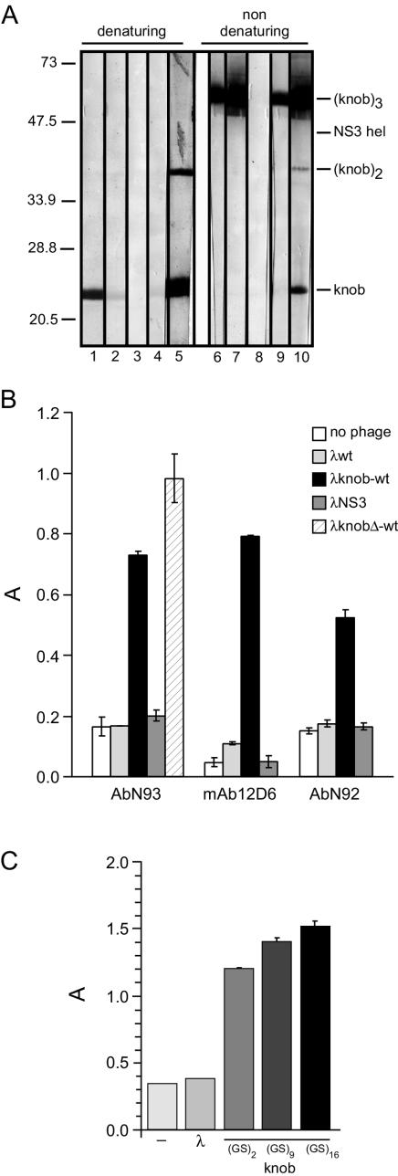 FIG. 2.