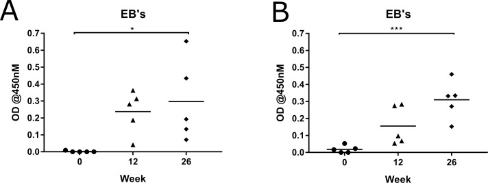 Fig 5