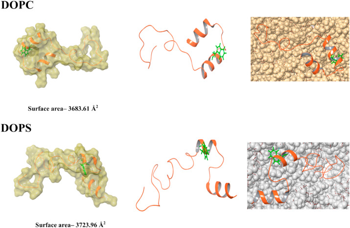 Fig. 9B