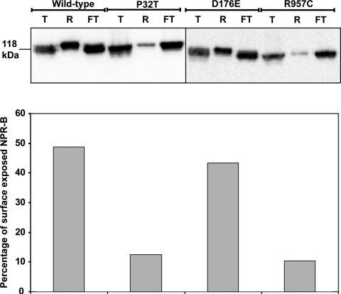 Figure 7.