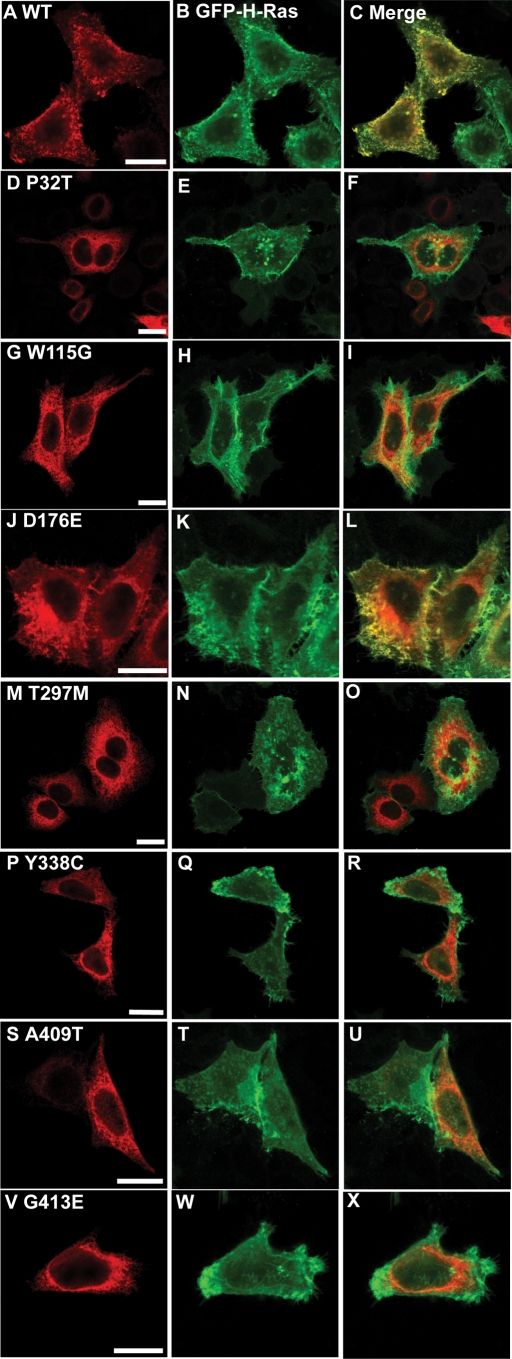 Figure 3.