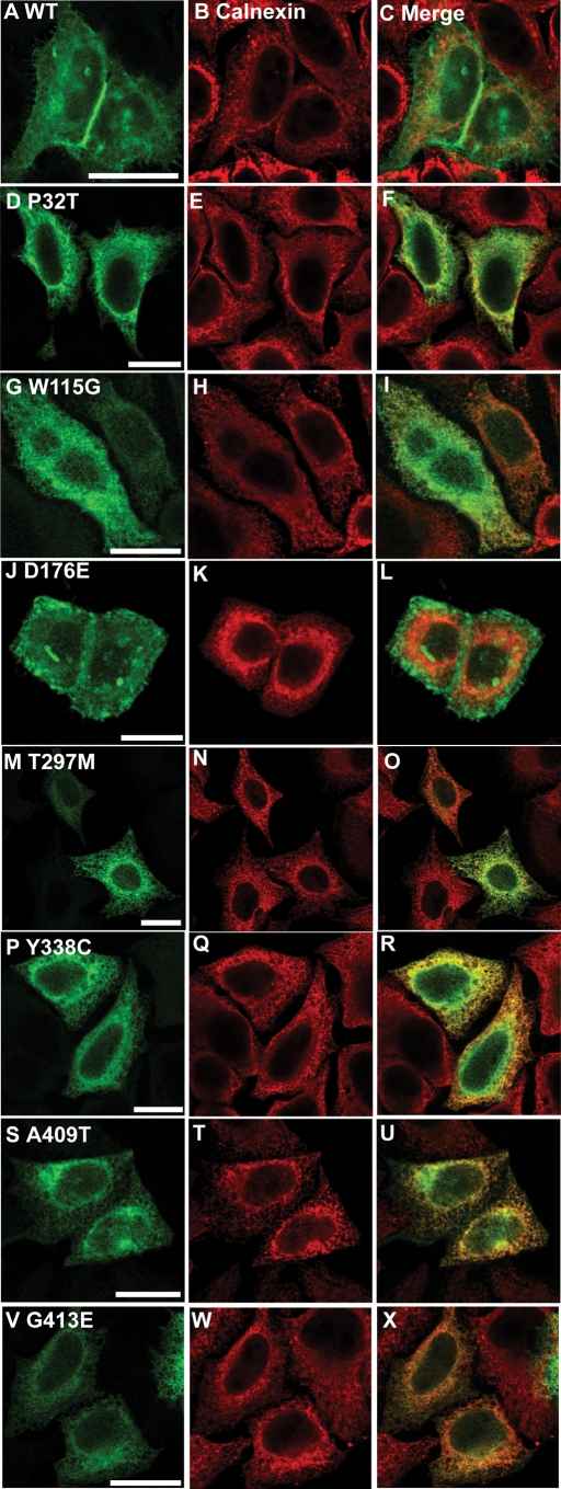 Figure 2.