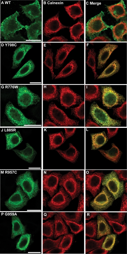 Figure 4.