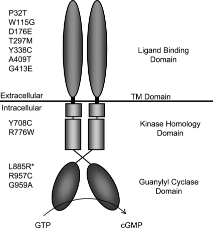 Figure 1.