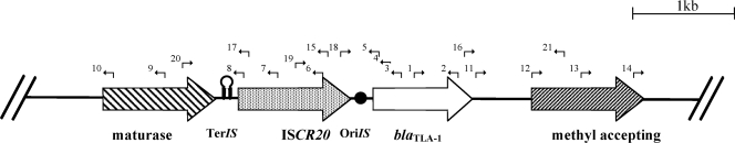 FIG. 1.