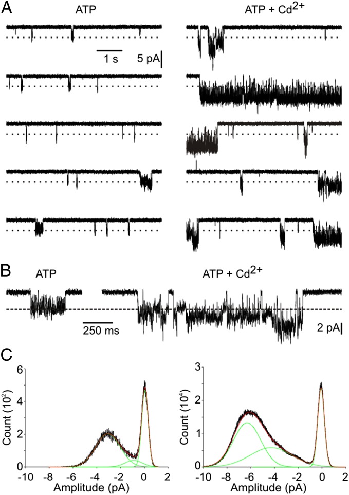 Fig. 6.