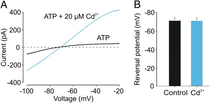 Fig. 7.