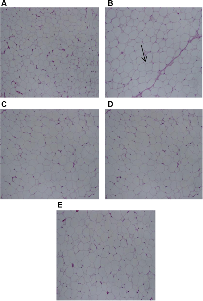 Fig. 7