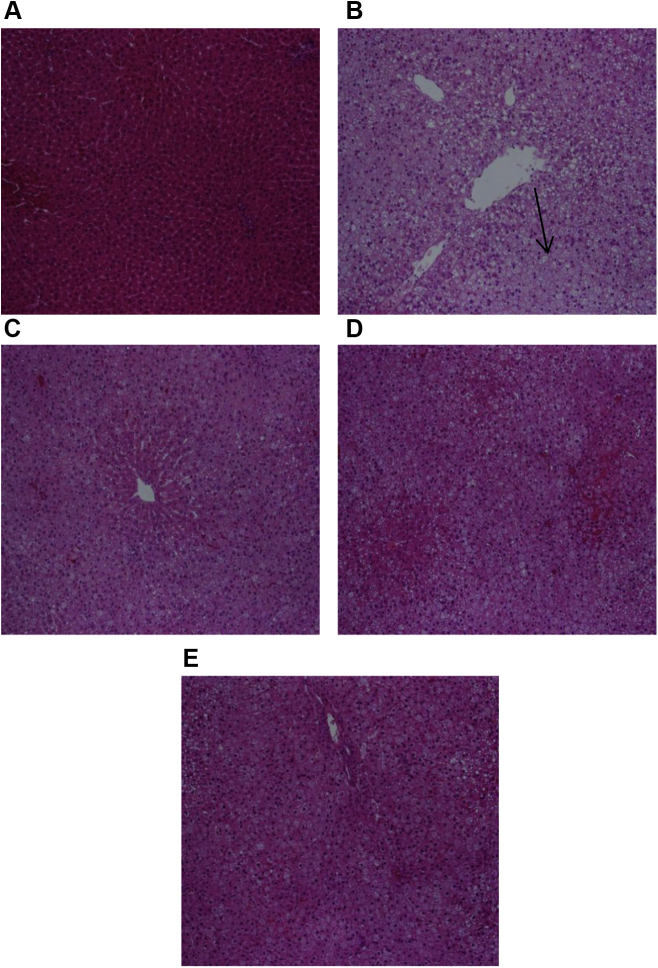 Fig. 5