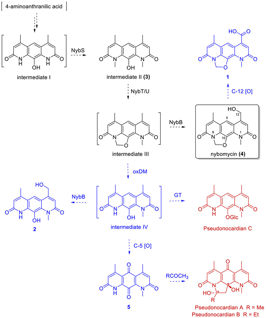 Figure 4.