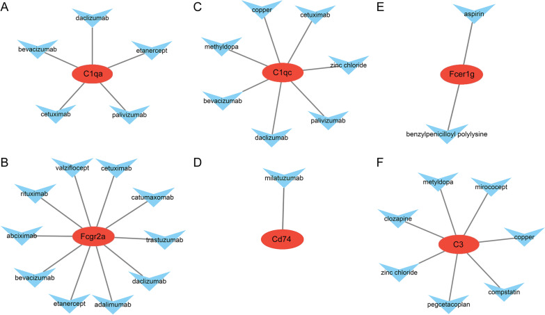 Fig. 12