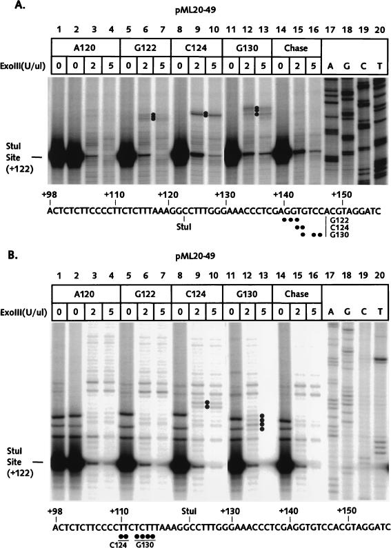 FIG. 6