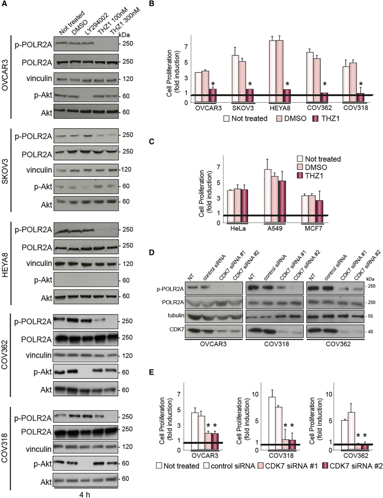 Figure 6