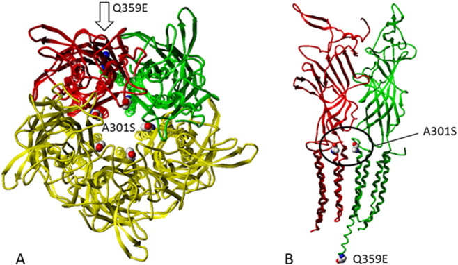 Fig. 3