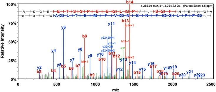 Fig 4