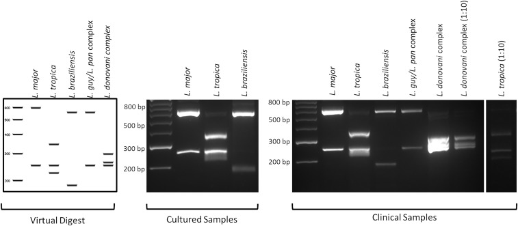 Figure 3.