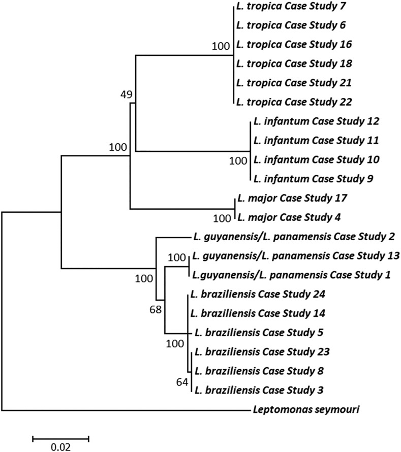 Figure 5.