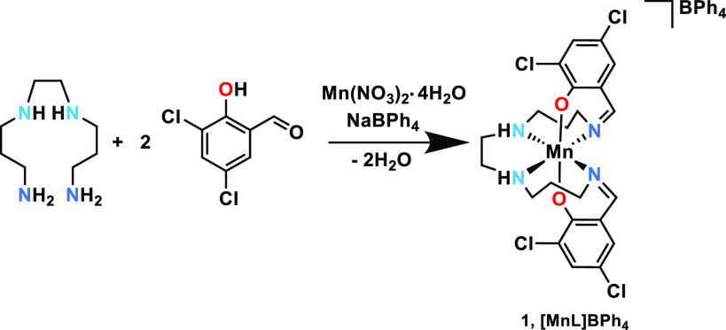 Scheme 1