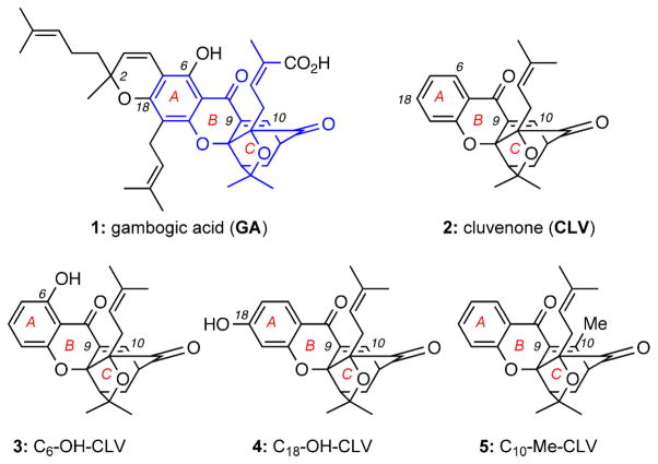 Figure 1