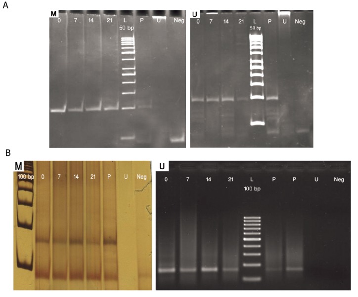 Fig.3