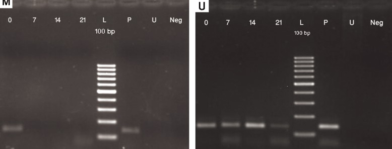 Fig.5