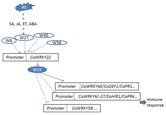 Figure 9