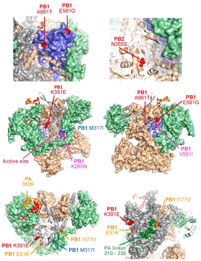 Figure 5