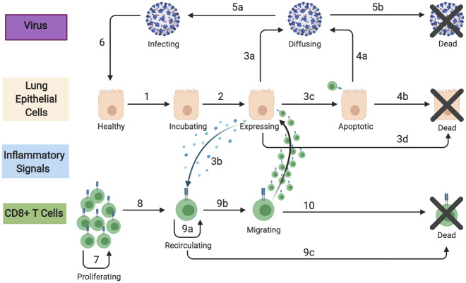 Fig 1