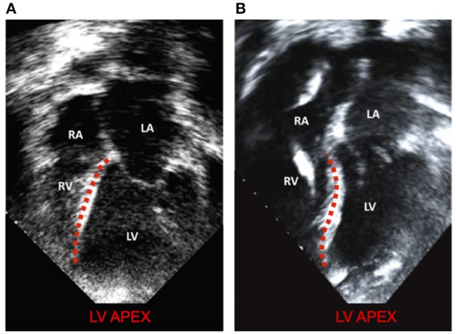 Figure 9