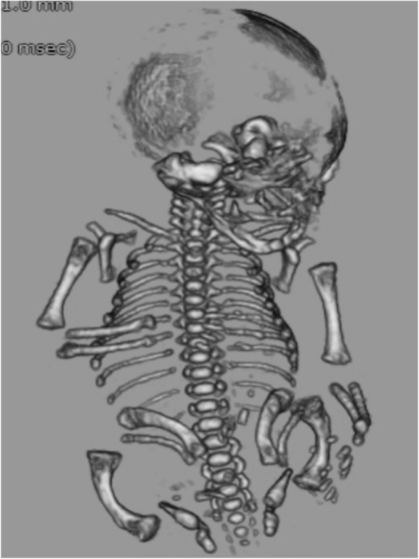 Fig. 5