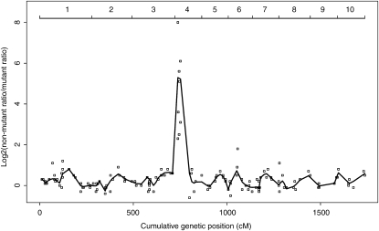 Figure 3.—