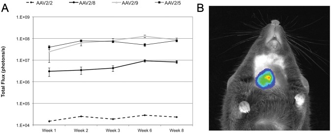 Figure 1.