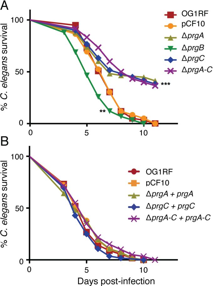 FIG. 7