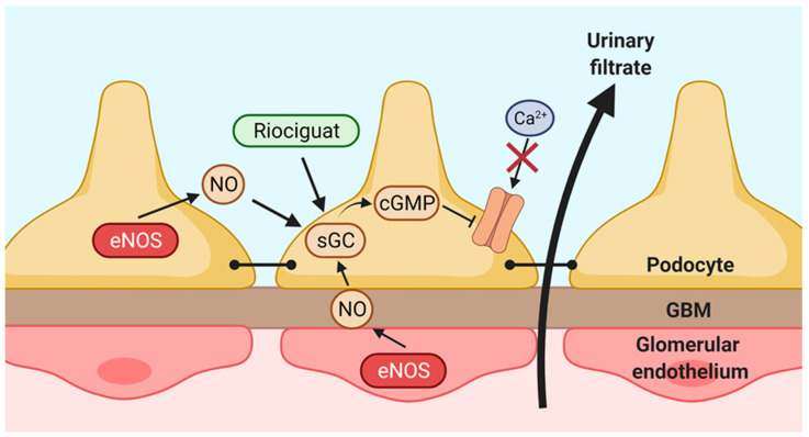 Figure 9