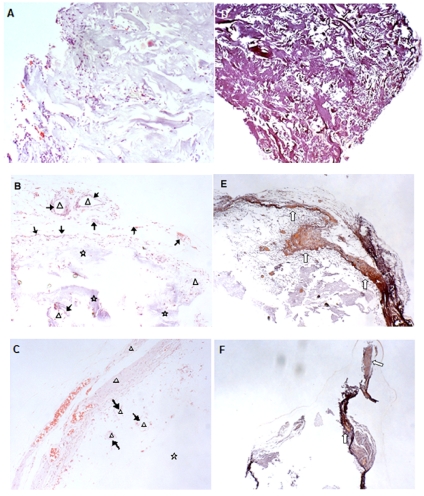 Fig. (6)