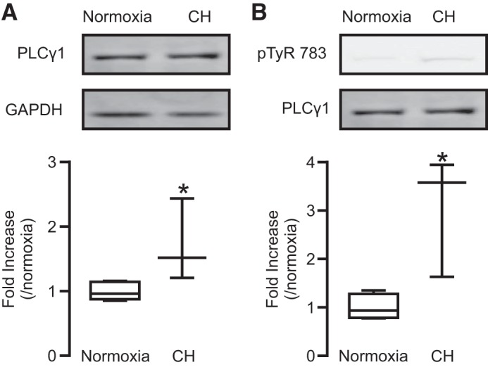 Fig. 7.