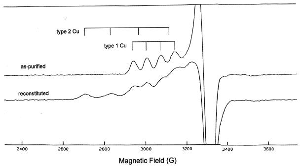 FIG. 5