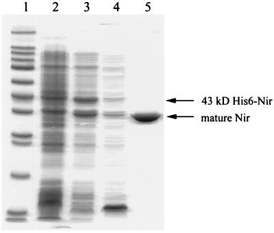 FIG. 3