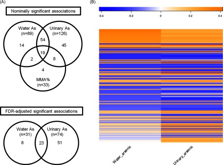 Figure 1A comprises two Venn diagrams. The one titled nominally significant associations has three circles labeled Water As (n = 89), Urinary As (n = 126), and MMA percent (n = 33). Water As and MMA percent intersect at number 2; Water As and Urinary As intersect at 54; and Urinary As and MMA percent intersect at 8. All three circles intersect at number 19. The other Venn diagram titled FDR-adjusted significant associations has two circles labeled Water As (n = 31) and Urinary As (n = 74), and they intersect at number 23. Figure 1B is a heat map of baseline total water arsenic and urinary arsenic.