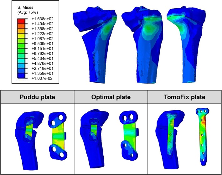 Fig. 7