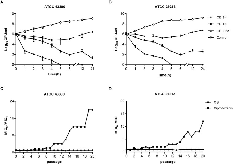 FIGURE 2