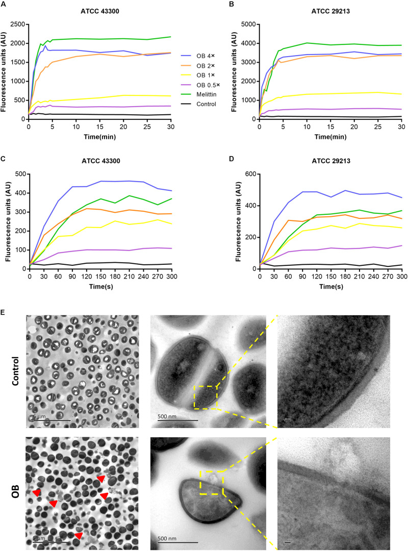 FIGURE 4