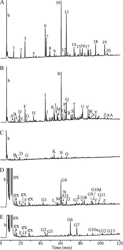 FIG. 2.