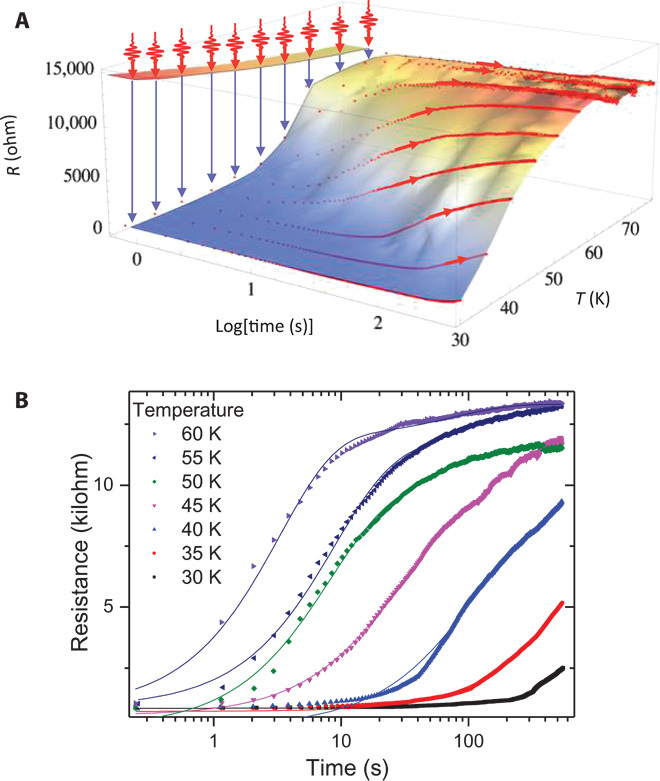 Fig. 2