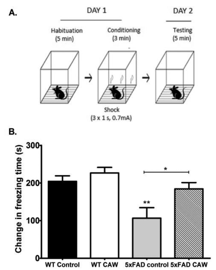 Figure 3: