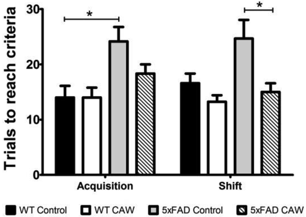 Figure 4: