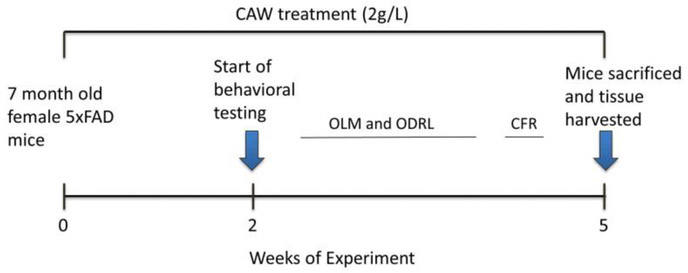 Figure 1: